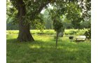 Property photo 44 - 160 Acres Offered in 6 Tracts